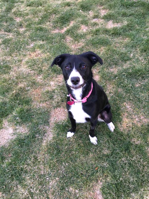 /Images/uploads/Humane Society of Utah/HSUCalendar/entries/849thumb.jpg